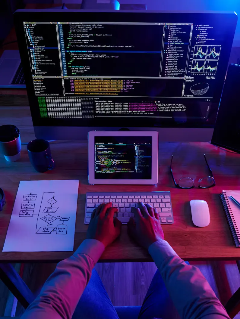 Telerge Web Development Strategy